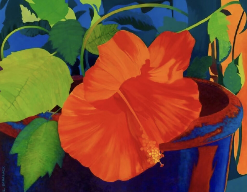 Hibiscus flower in blue pot