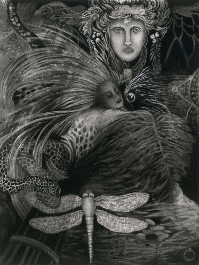 Charcoal drawing of a woman with a dragonfly and feathers.