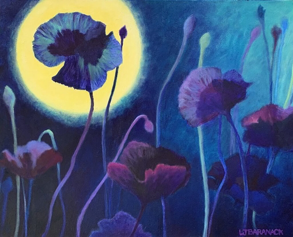 Poppies in the moonlight.